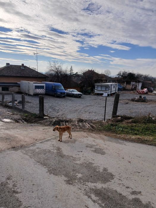 Дава се под наем Парцел в Лом - 600 кв.м за 153 € - Снимка #7