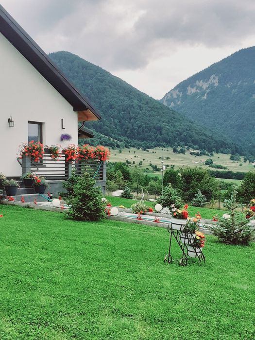 Casa de vânzare Bran Tohanita