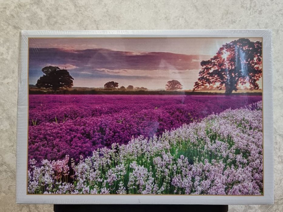 Пазлы разных картинок