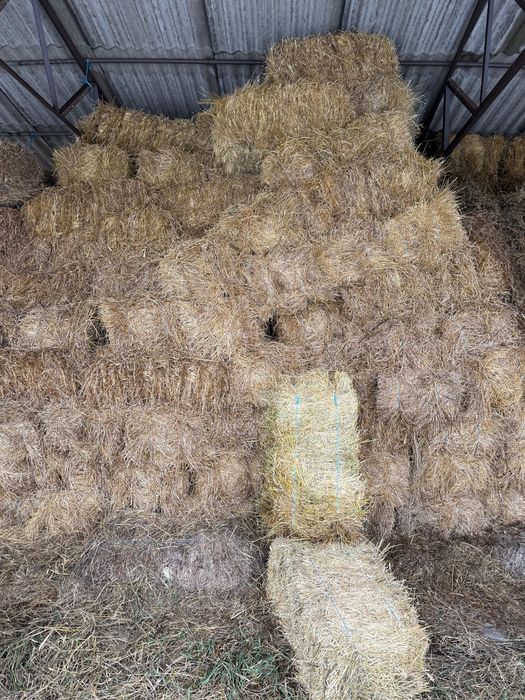 Baloți de fân de semănătură și coastă