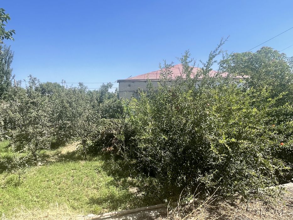 Navoi dacha sotiladi