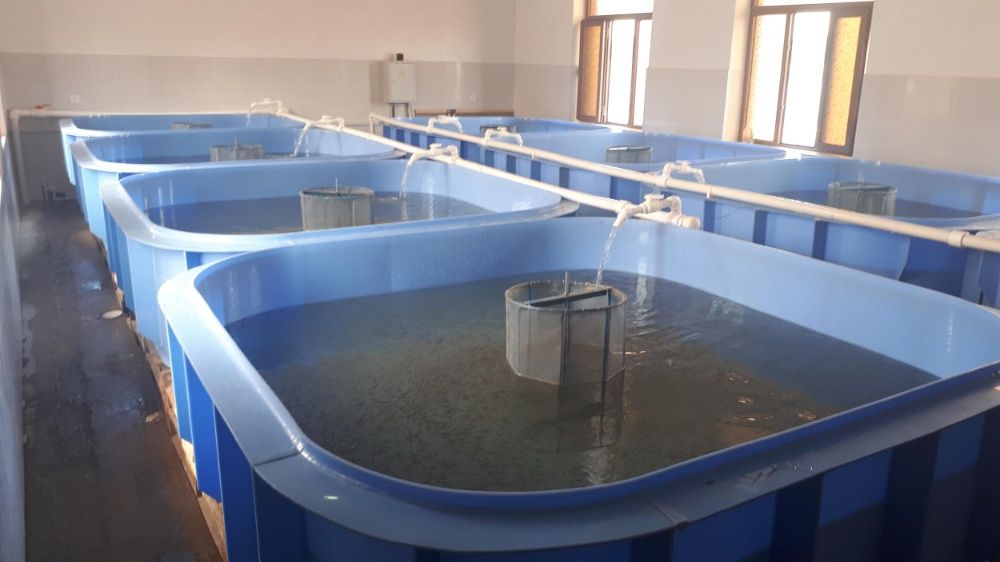 Эко-бассейны для рыбного хозяйства из полипропилена, биофильтры