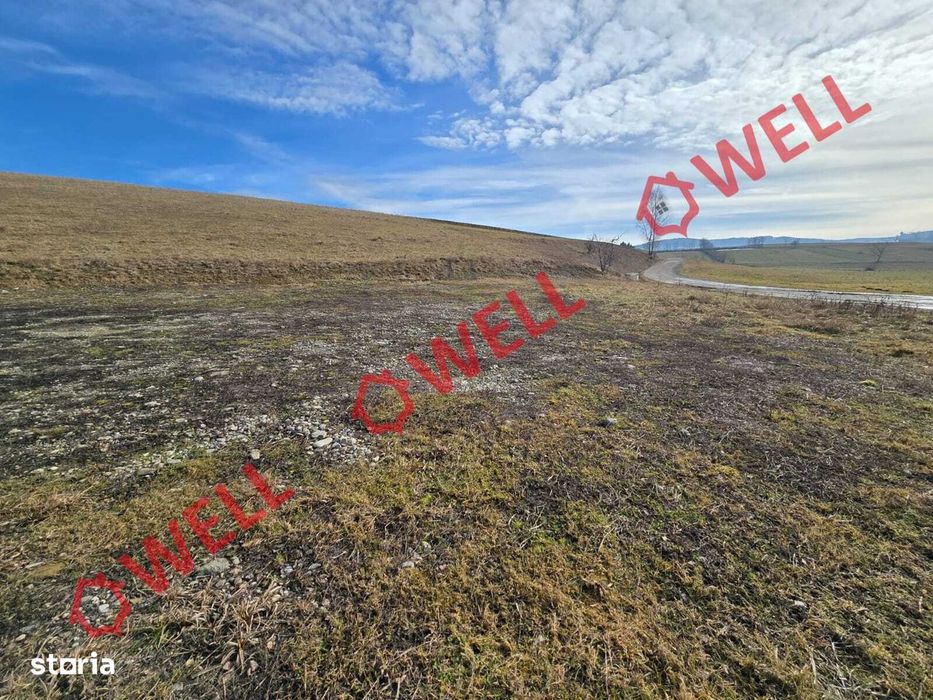 Teren intravilan de vânzare în Barcani!