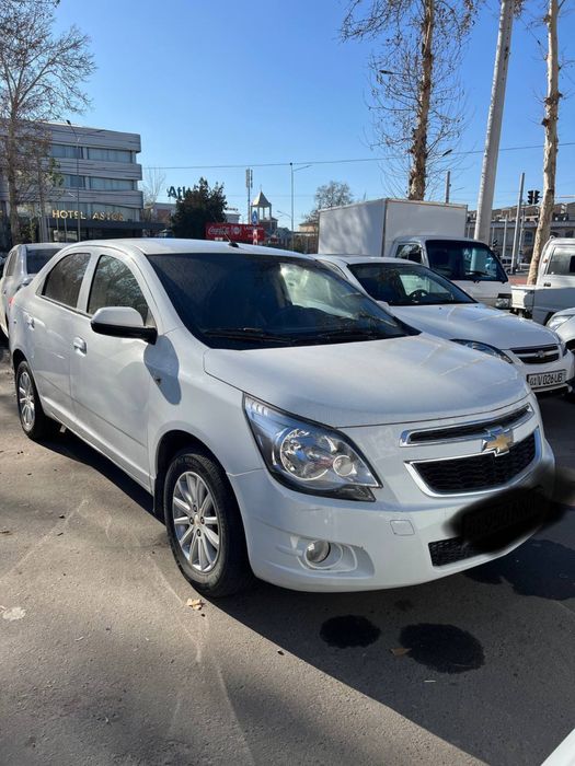 Cobalt Avtamat  2023