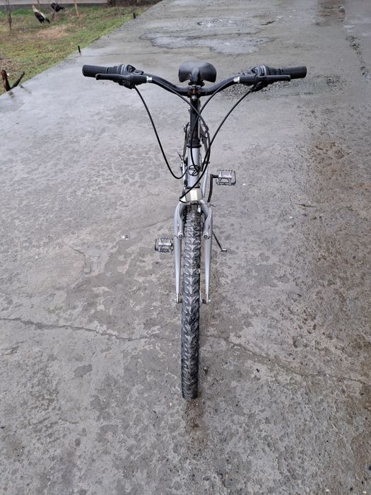 Велеспид пашти янгидай россиядан келган