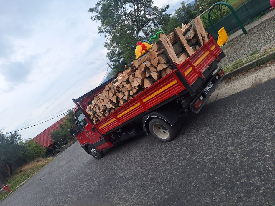 Lemn de foc. Fag, Stejar, Brad