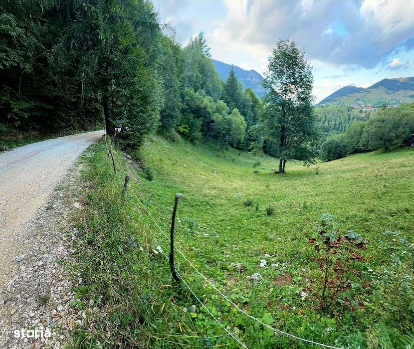 Teren investitie 8635 mp extravilan , Pestera Brasov