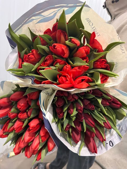 тюльпаны оптом и в розницу