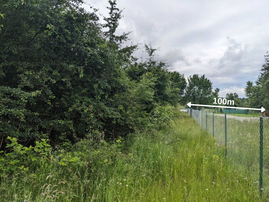 Teren Sibiu 1400 mp în Porumbacu de Sus – Perfect pentru Cabană sau Casă de Vacanță
