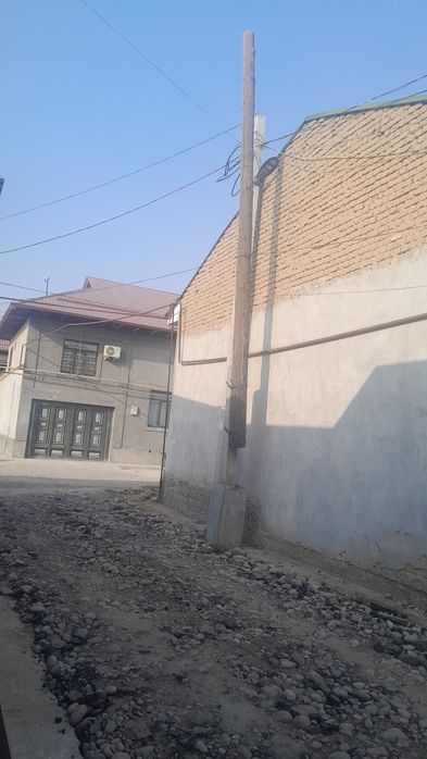 Sim yogʻoch 6 metrli chirmagan sinmagan