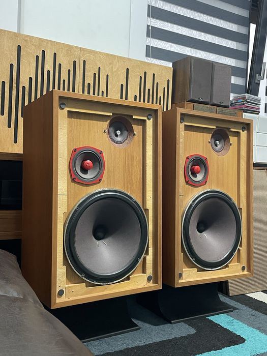 Boxe cabasse sempan 310