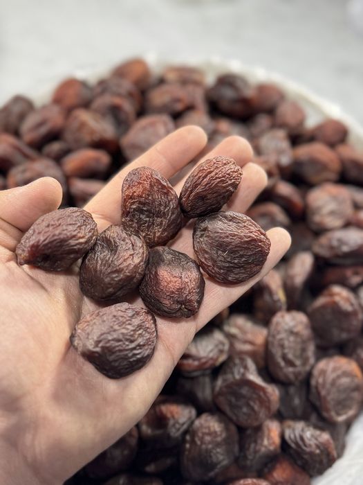 O'rik урюк sharbat o'rik qoqi orik turshak урюк для компота quruq meva