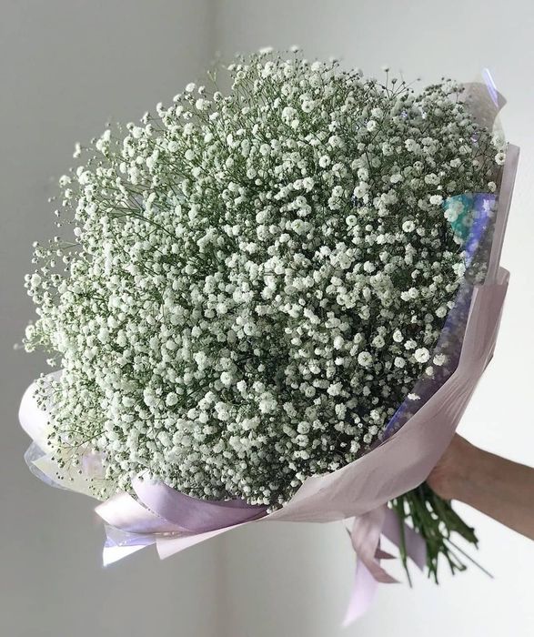 Цветы Каскелен,  Гүлдер