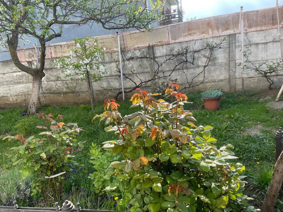 Vânzare casă duplex Vălenii de Munte