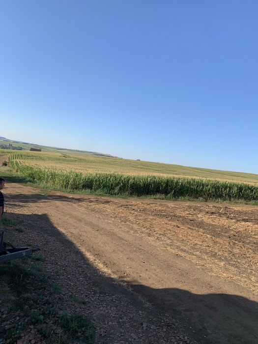 Siloz de vanzare 30 hectare