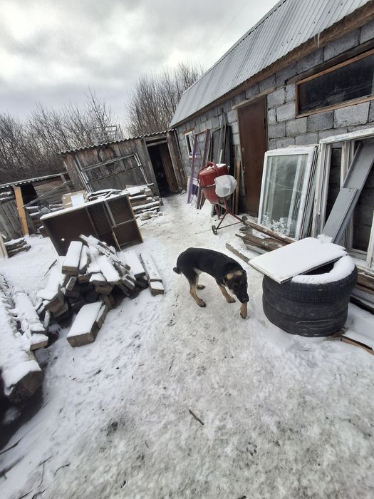 Продам еврапейку