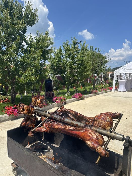 Catering/ protap/rotisor/gustari/ciorbe/aperitive/salate/garnituti