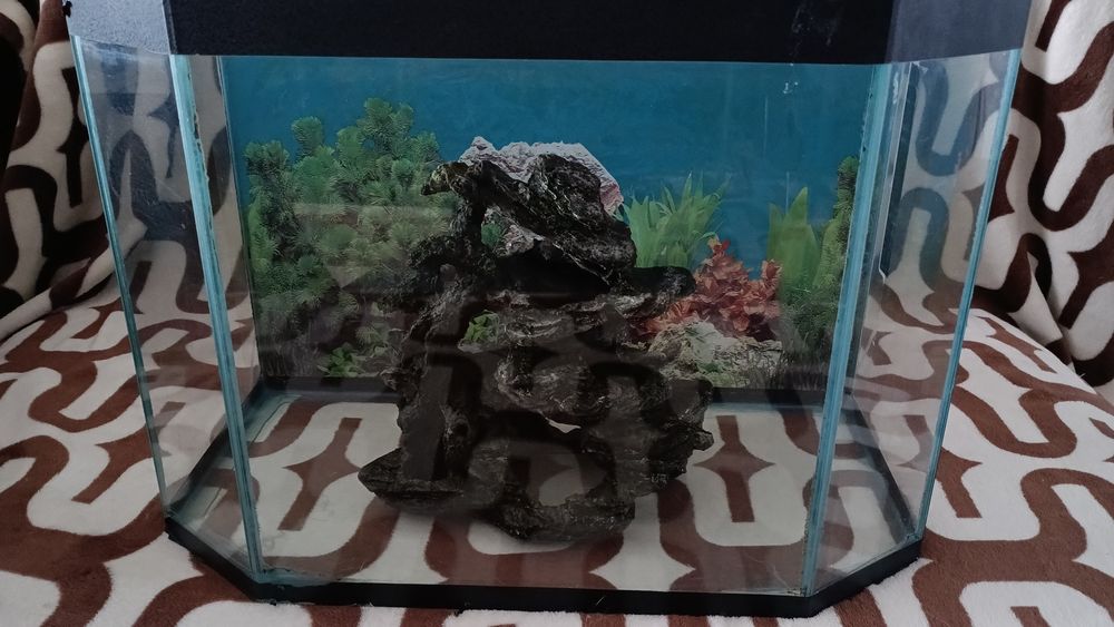Аквариум 30 литров