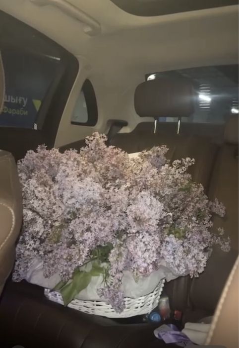 Цветы әдеми гүл әдеми