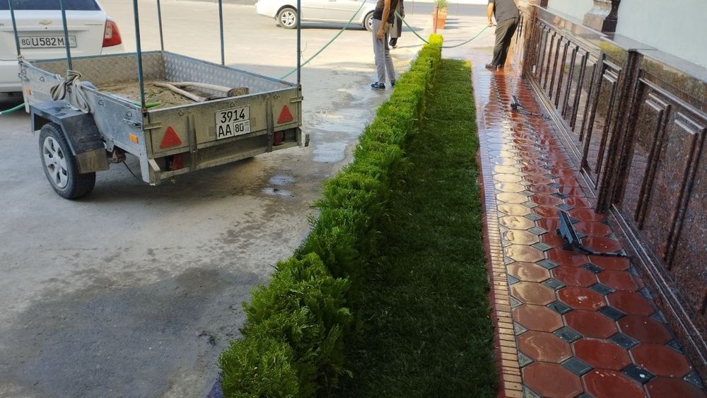 Газон экиш ва ландшафт хизматилари