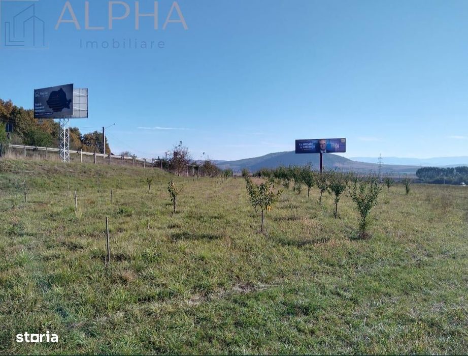 Teren intravilan 12.300 mp – oportunitate investitie industrialacomerc