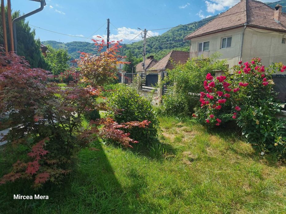 Vanzare casa Baia de Aries