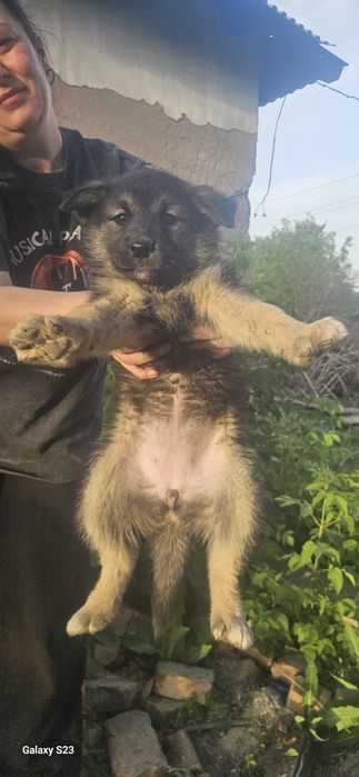 В добрые руки очаровашки