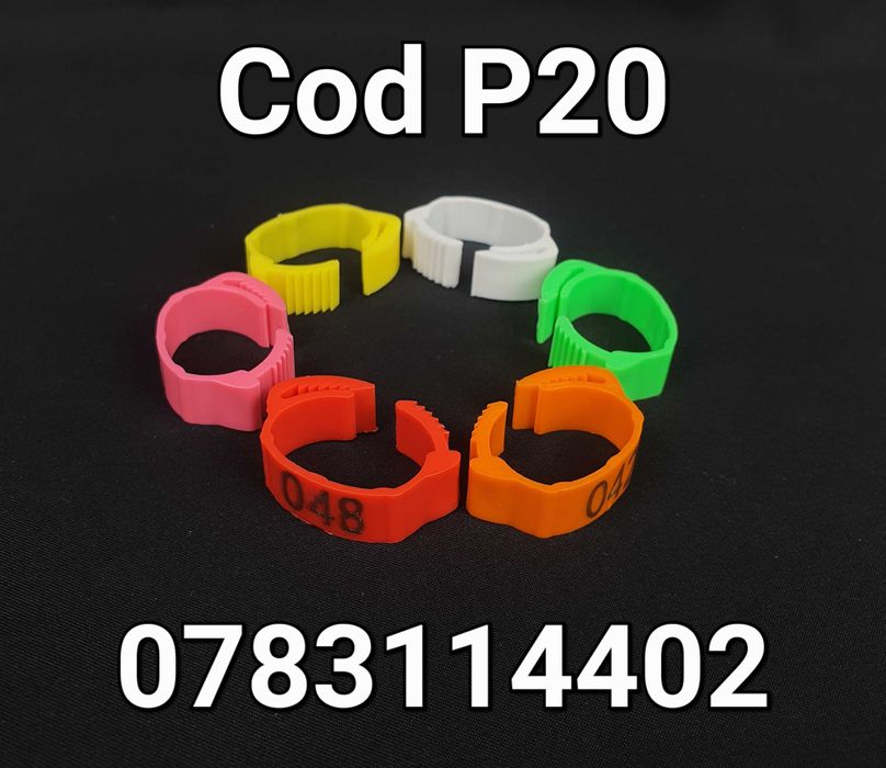 Curci Australorp Sussex Pasari Gaini Gaste Fazani-CLEME Ajustabile-P20