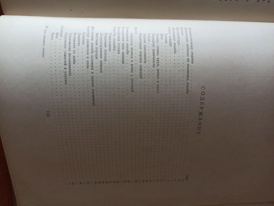Как рисовать лошадь - Как да нарисуваме кон