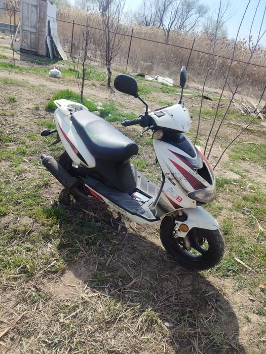 Мапед.           .