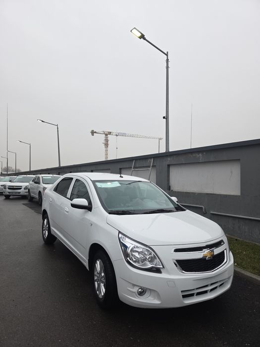 **Cobalt style msm 2026