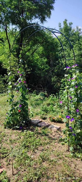 Продава се Къща в с. Горна Василица, Област София-област - 80 кв.м за 319 €/кв.м - Снимка #12