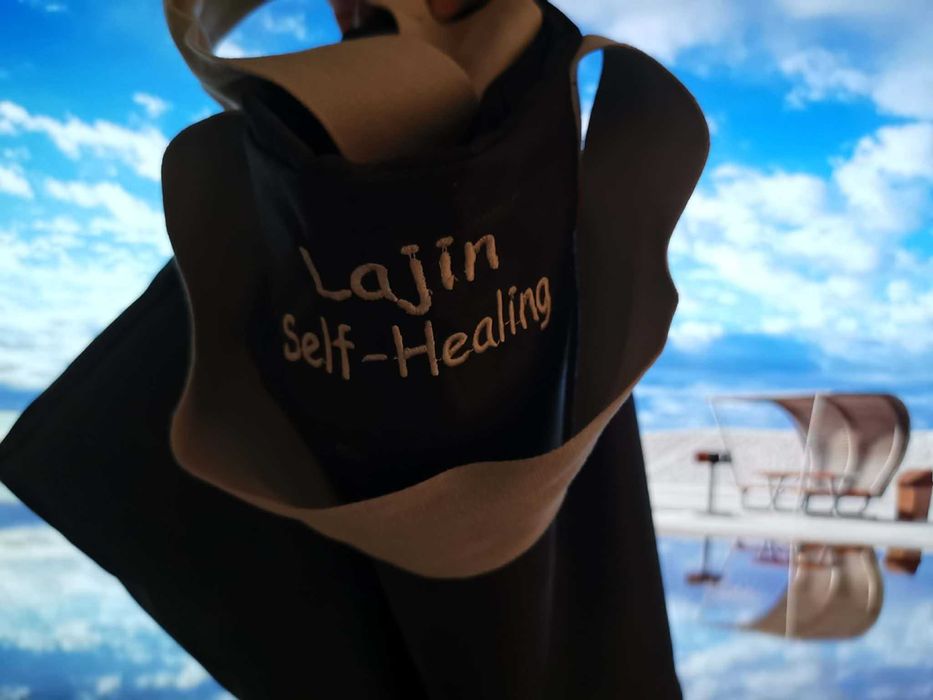 Степенка за Пайда Ладжин