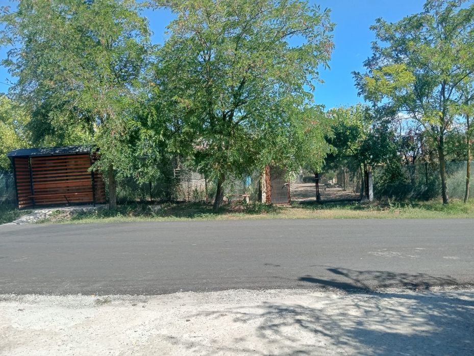 Casa bătrânesca cu teren