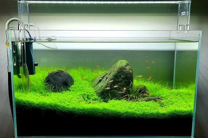 Lampa acvariu Ada  aqua skay  60 cm