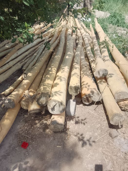 Terak sotiladi 6 metlik