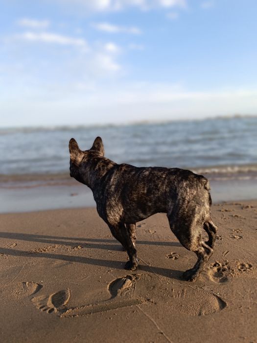 Молодой красавчик