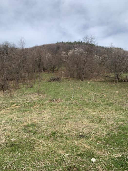 Продава се Парцел в с. Ямна, Област София-област - 828 кв.м за 14 €/кв.м - Снимка #4