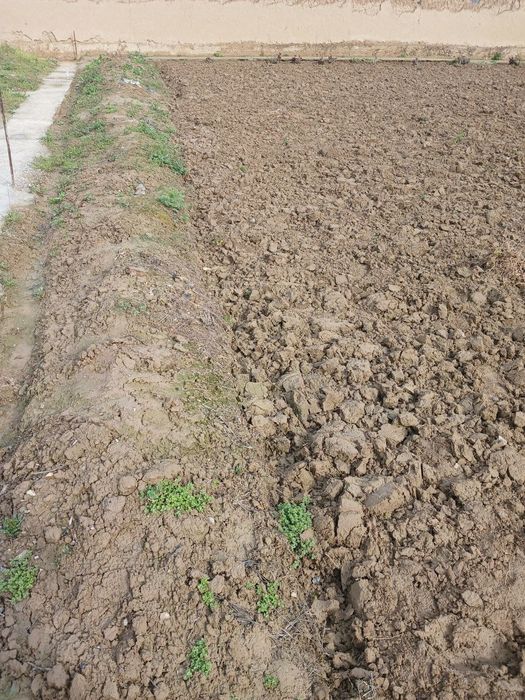 4 sotix yer yangiyol