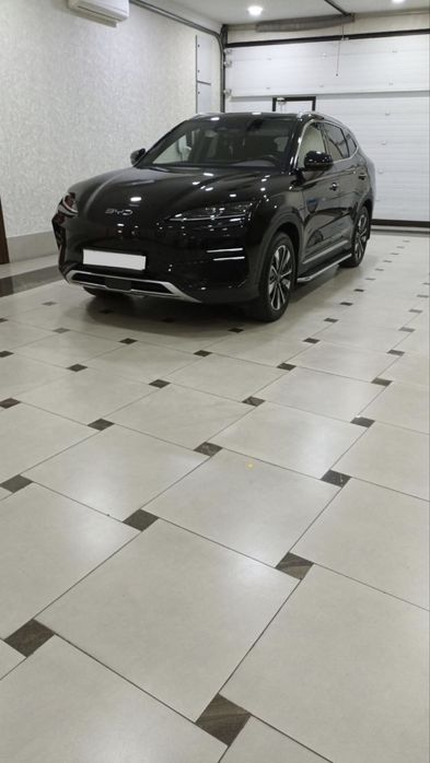 BYD Chempion Smart Drive 2024