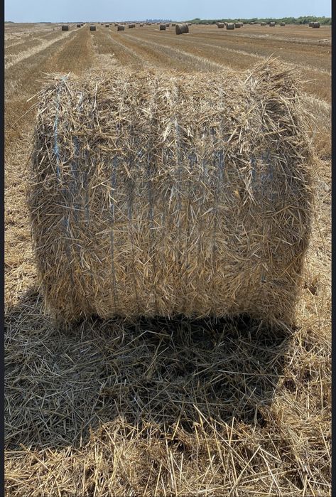 Baloti paie rotunzi 140/120