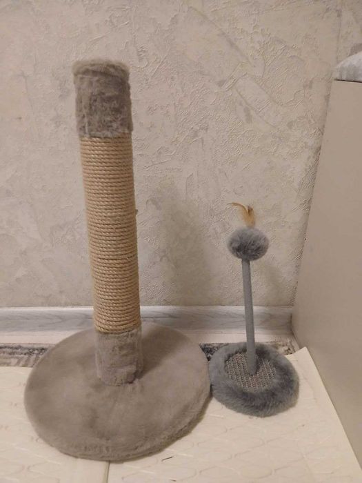 Продаётся девочка скоттиш страйт со всема принадлежностими, 7 месяца.