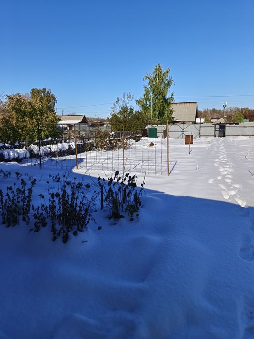 Продам дачу сад Клён.