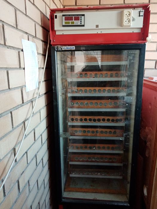 Инкубатор автоматический