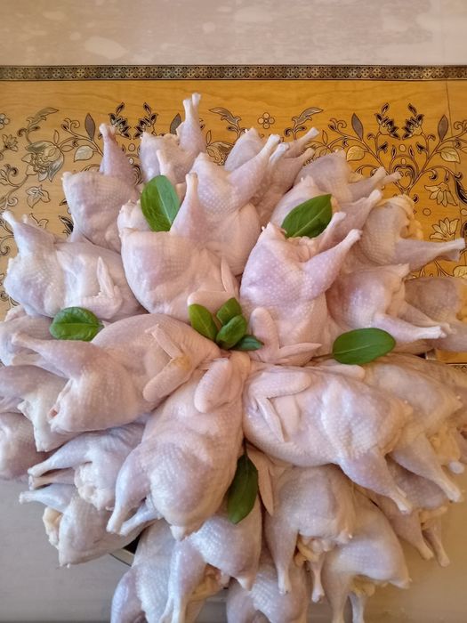 Мясо домашних перепелов