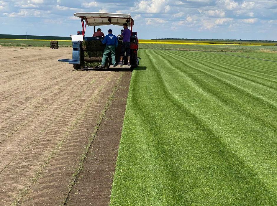 Soluții Complete: Gazon, Irigare, Montaj