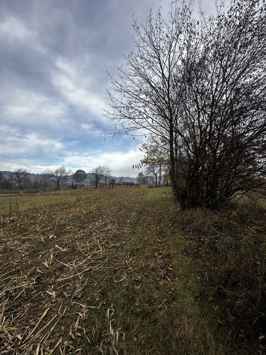 Teren extravilan 2.133 mp - Gura Humorului