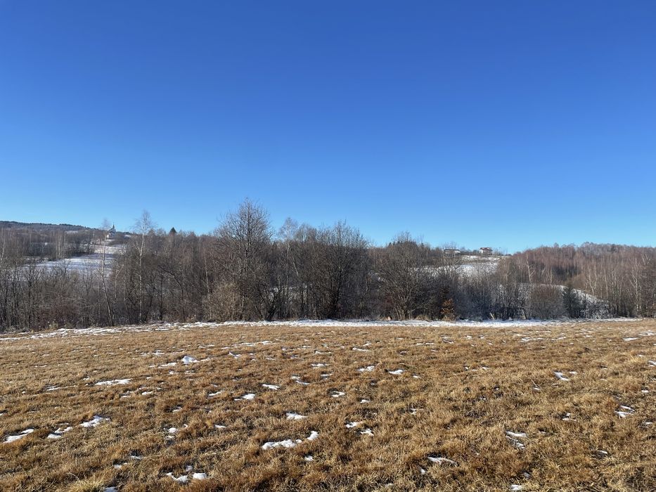 Teren Cabana Rasca, aproape de Belis, 700 mp