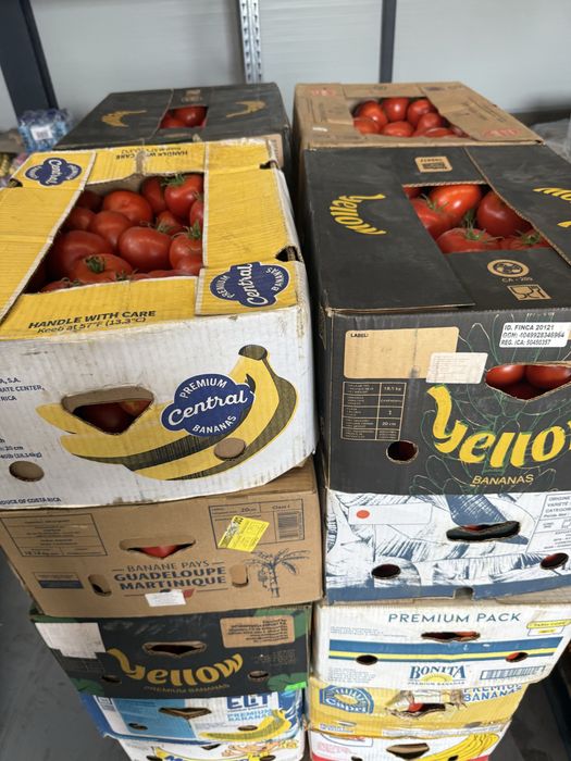 Castraveti , Cucumbers , ogórki, огірки