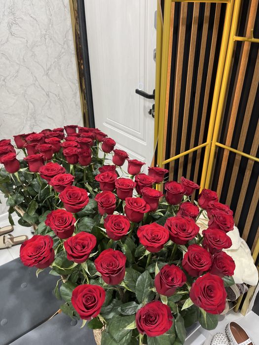 Свежийй розыыыыы